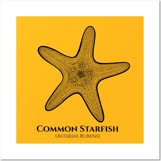 Starfish with Common and Scientific Names - sea animal design Wall Art by Green Paladin